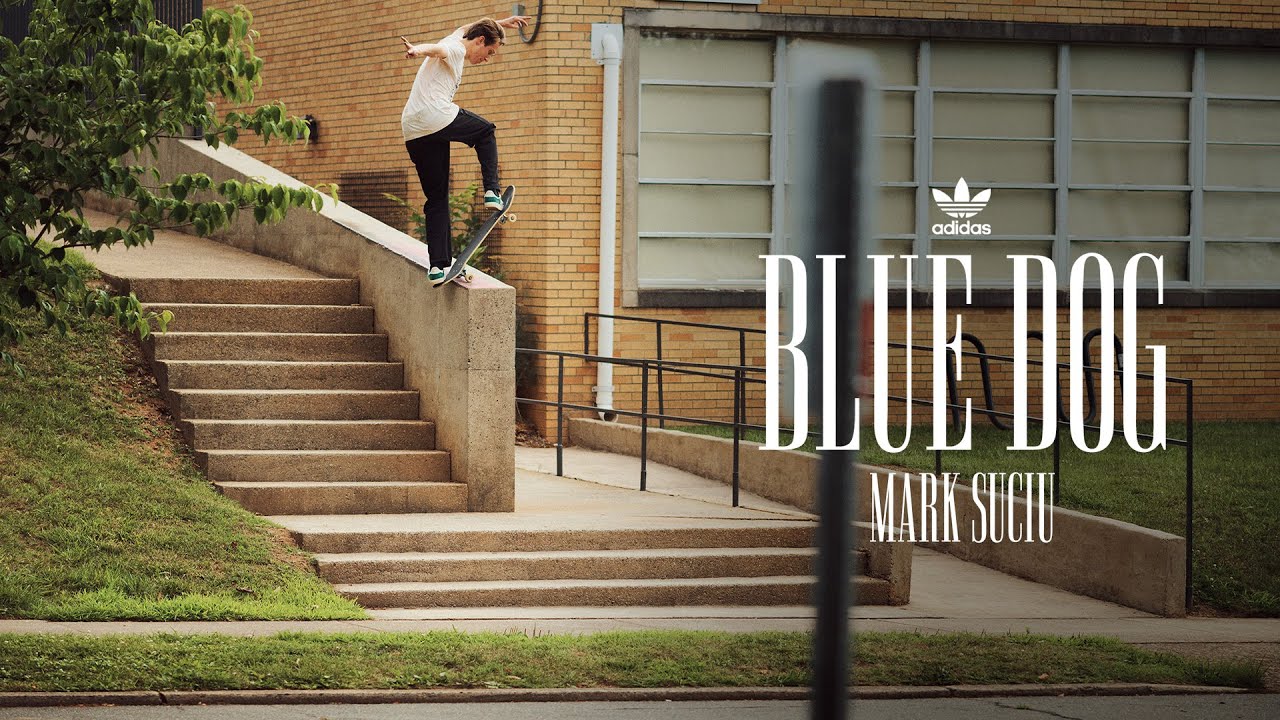 Adidas - Mark Suciu's "Blue Dog"  cover