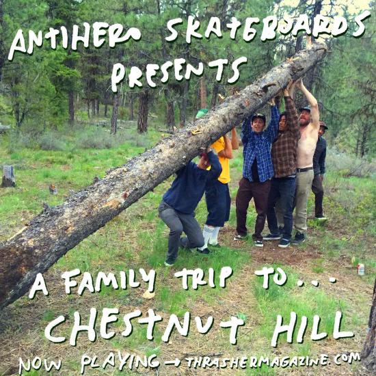 Antihero - Chestnut Hill cover