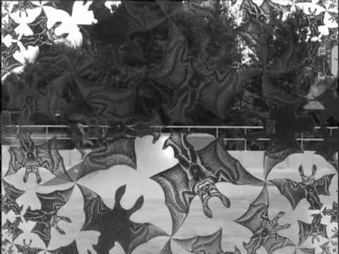 Ashes - Team Intro cover