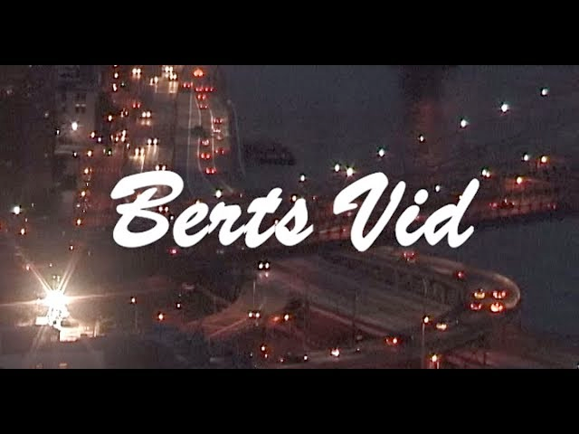 BERTS VID cover