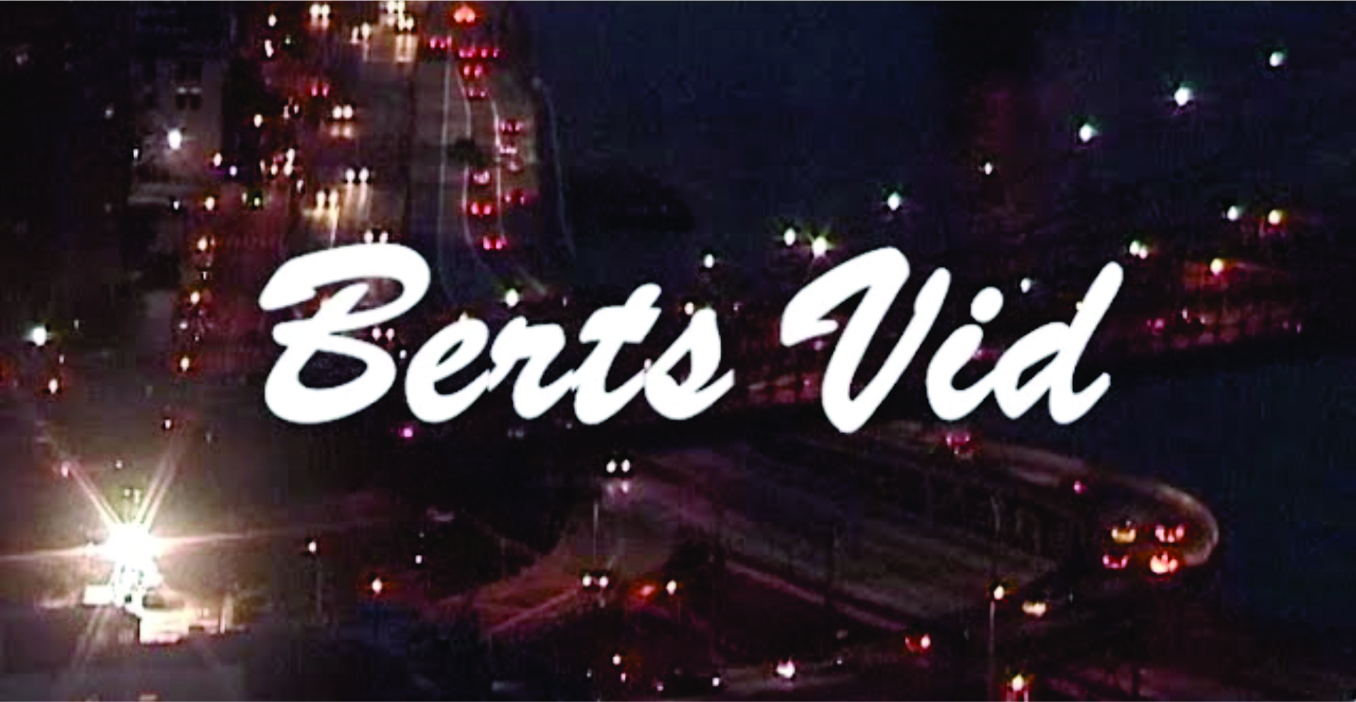 BERTS VID cover