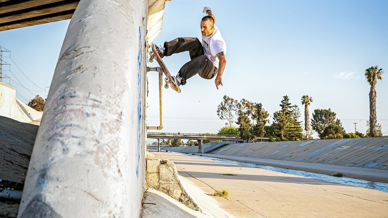 Birdhouse - David Loy’s “XX”  cover