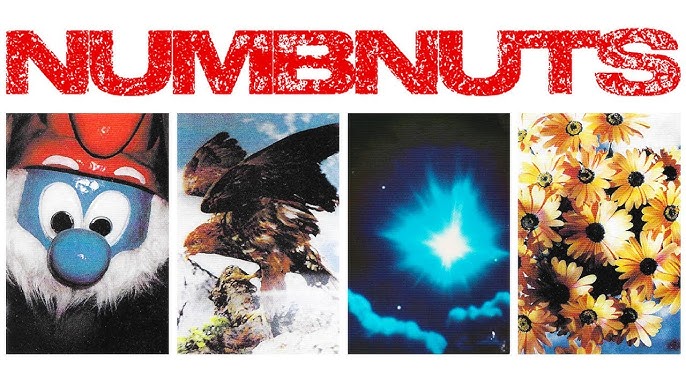 Bleach USA - NUMBNUTS cover art