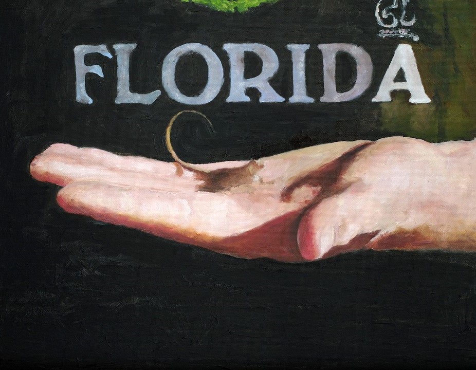 Converse - Florida cover