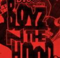 DVS - Boyz N The Hood cover