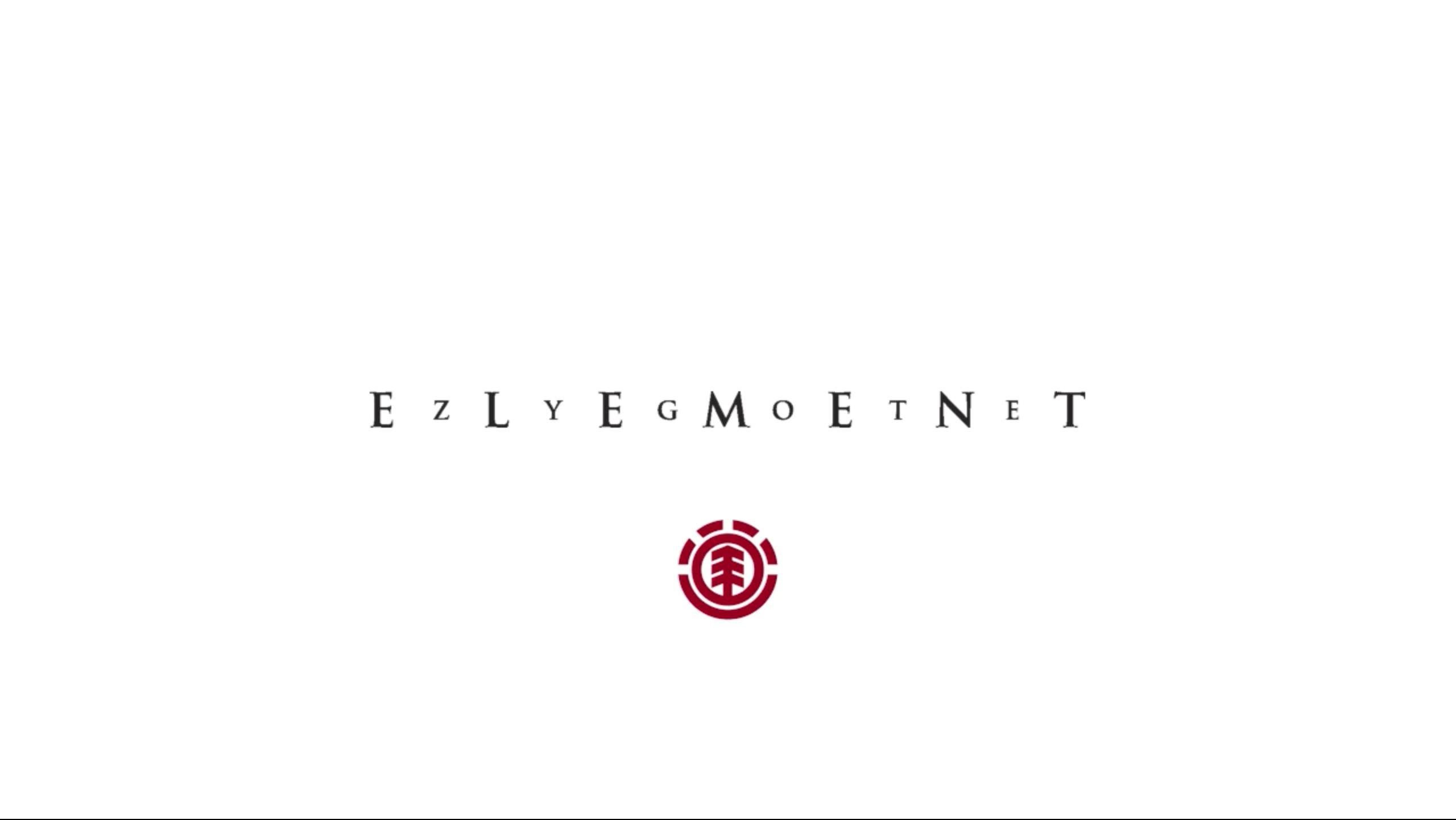 Element - Zygote cover