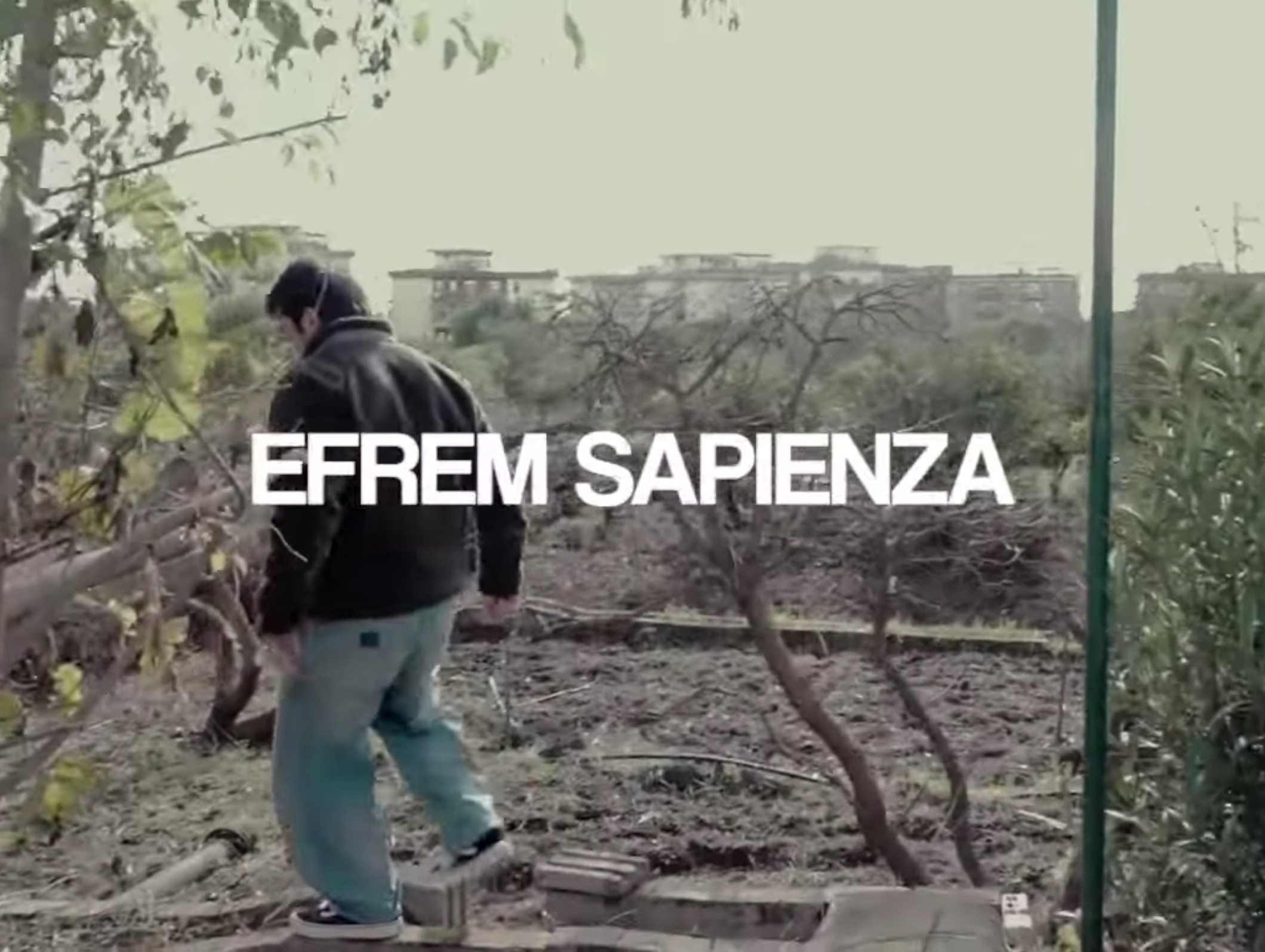Film Trucks - Efrem Sapienza cover