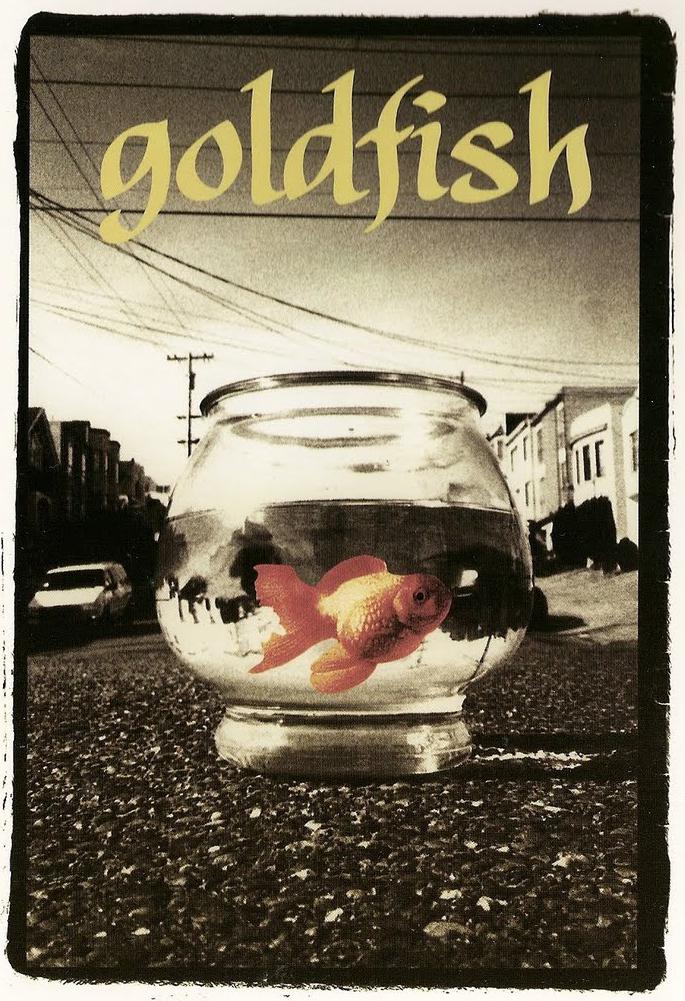 Girl - Goldfish cover