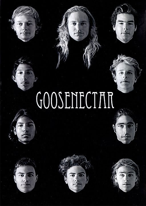 Goosenectar cover