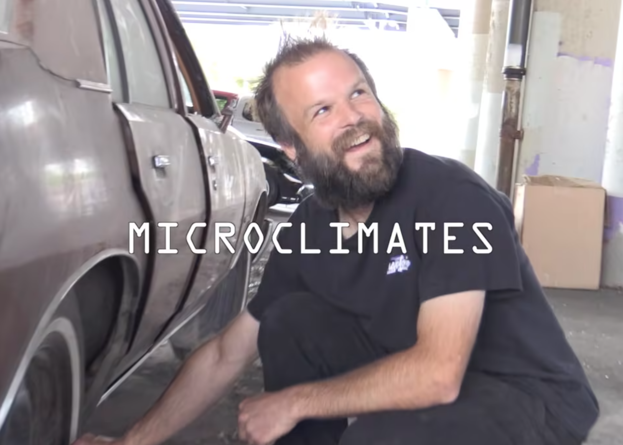 Mini Video 98 - Microclimates cover