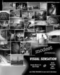 Modest Skateshop - Visual Sensation cover