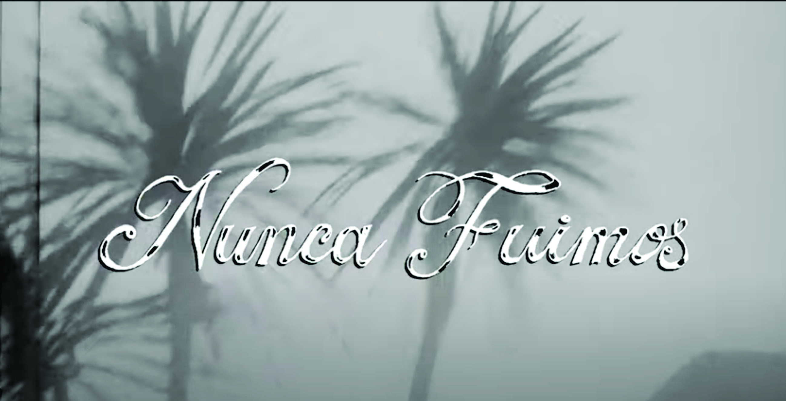 Nunca Fuimos cover