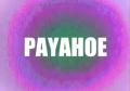 Payahoe cover