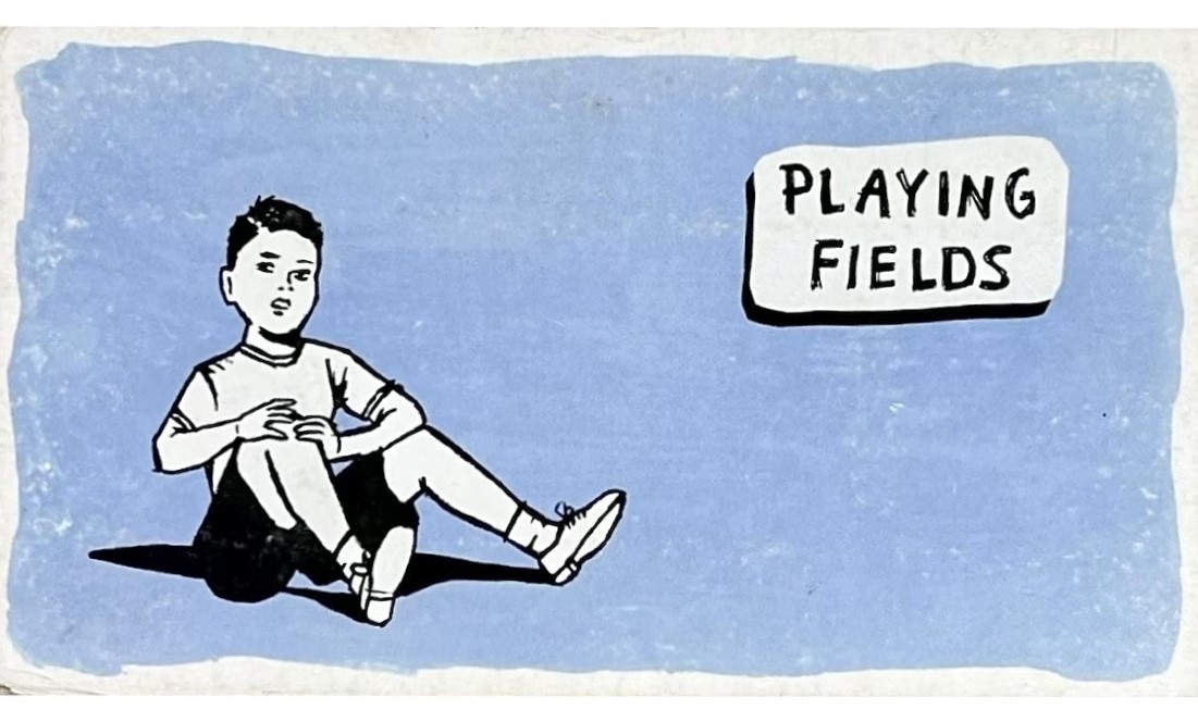 Playing Fields cover