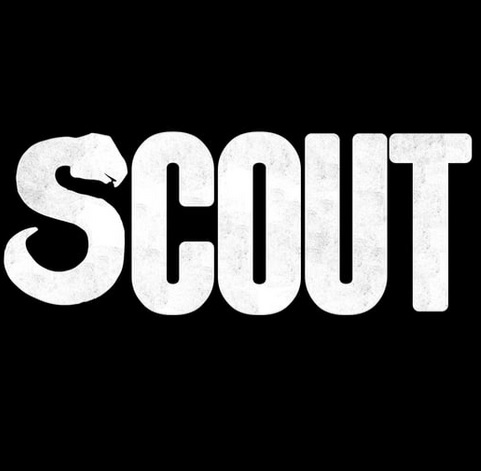 Scout cover