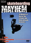 Skateboarding Mayhem cover art