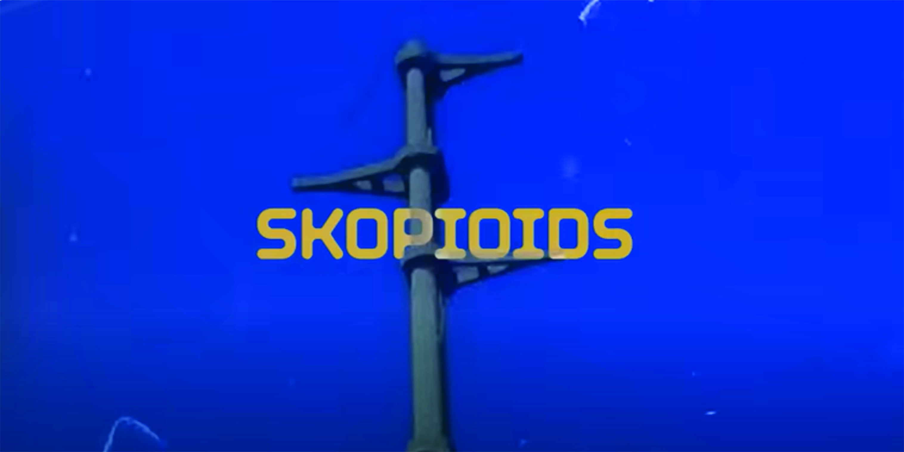 Skopioids - Grey Area in Macedonia cover
