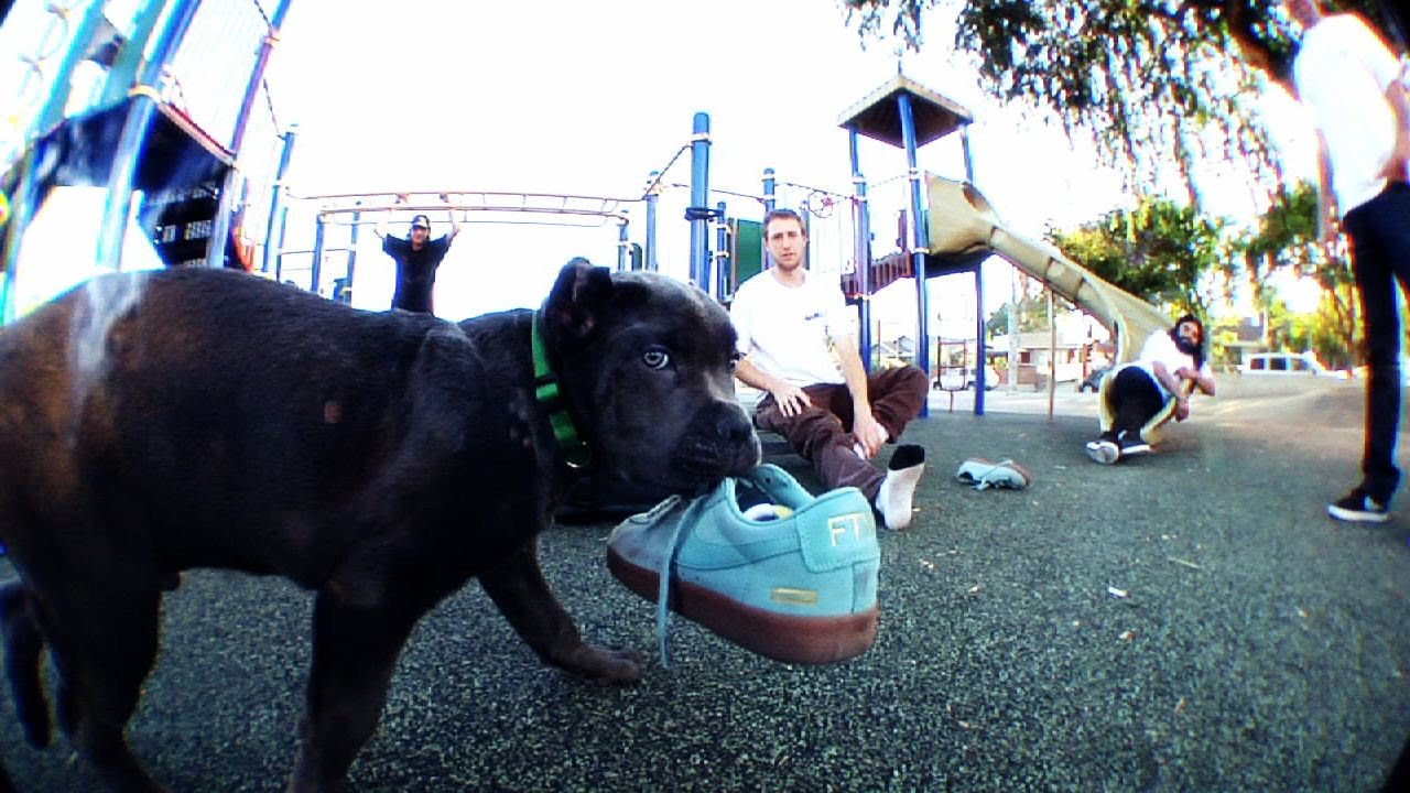 Supreme x Nike SB - KING PUPPY cover