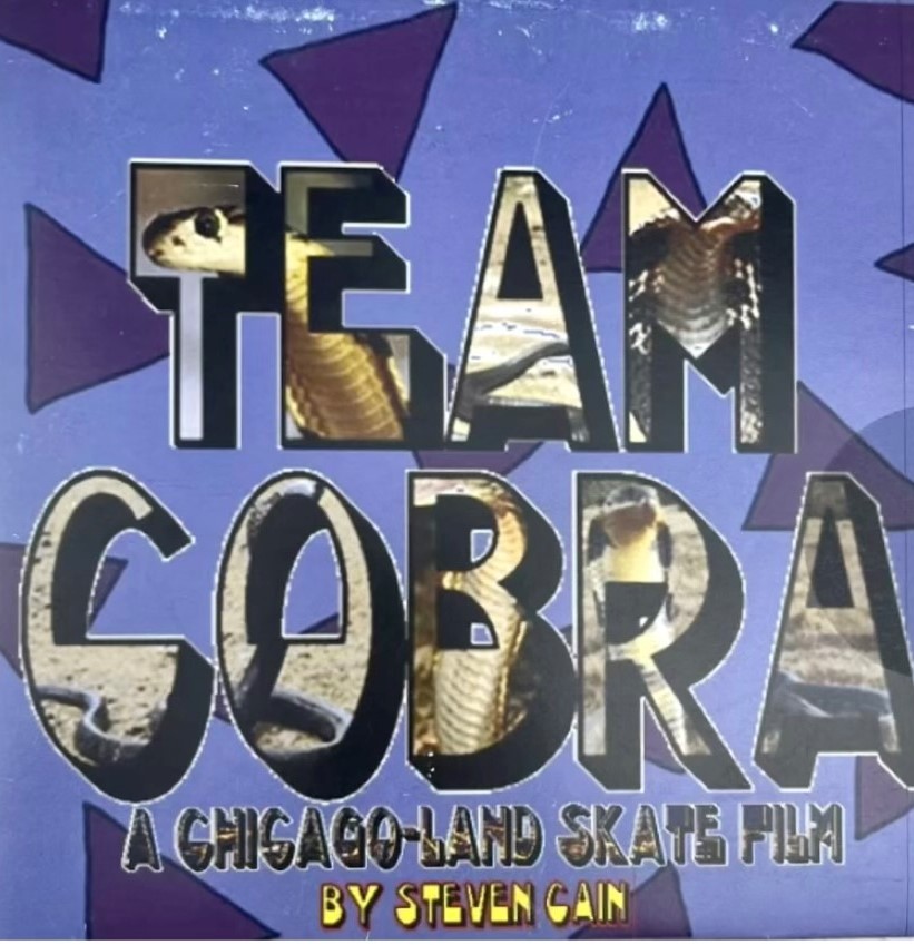 Team Cobra cover