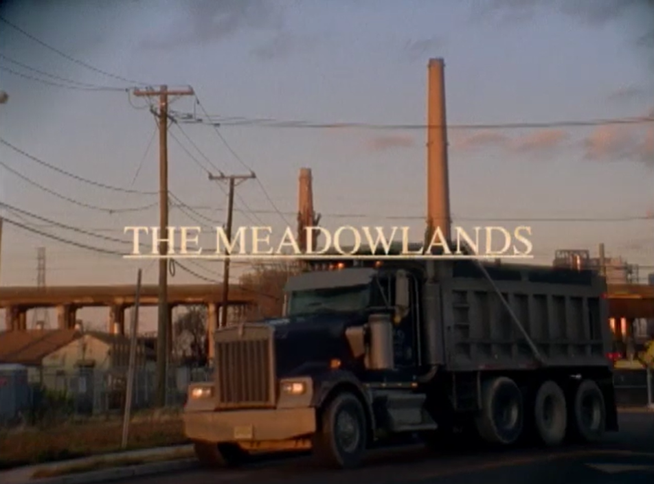 The Meadowlands cover