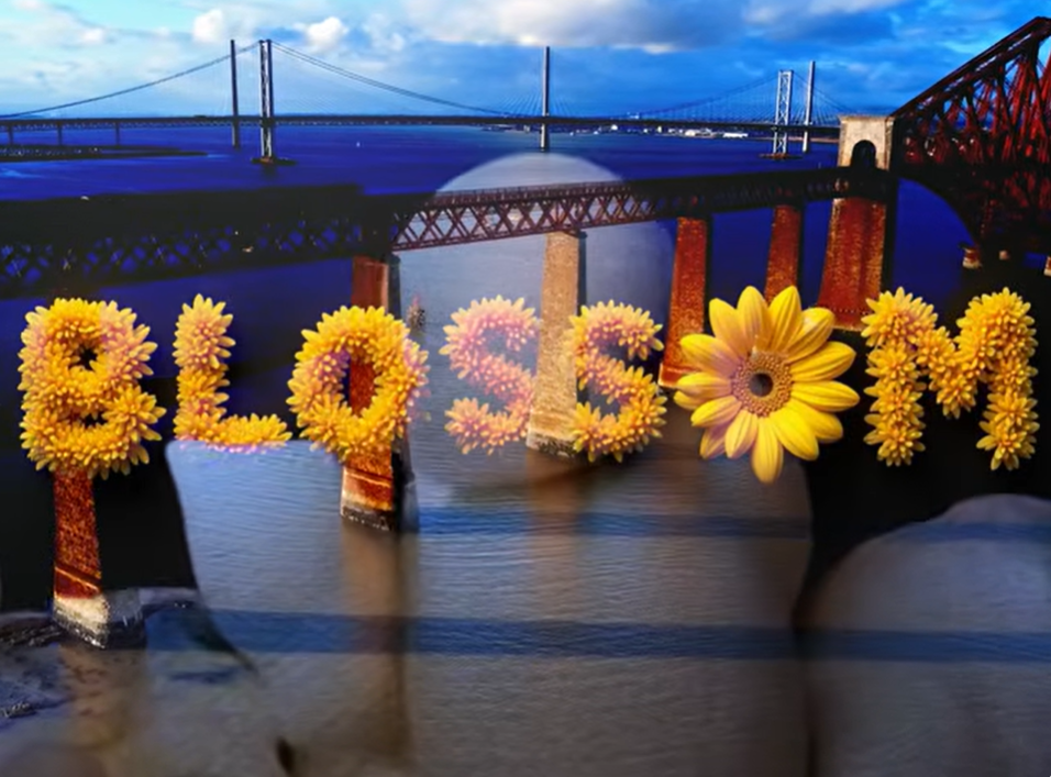 Treatment Skateboards - Blossom cover