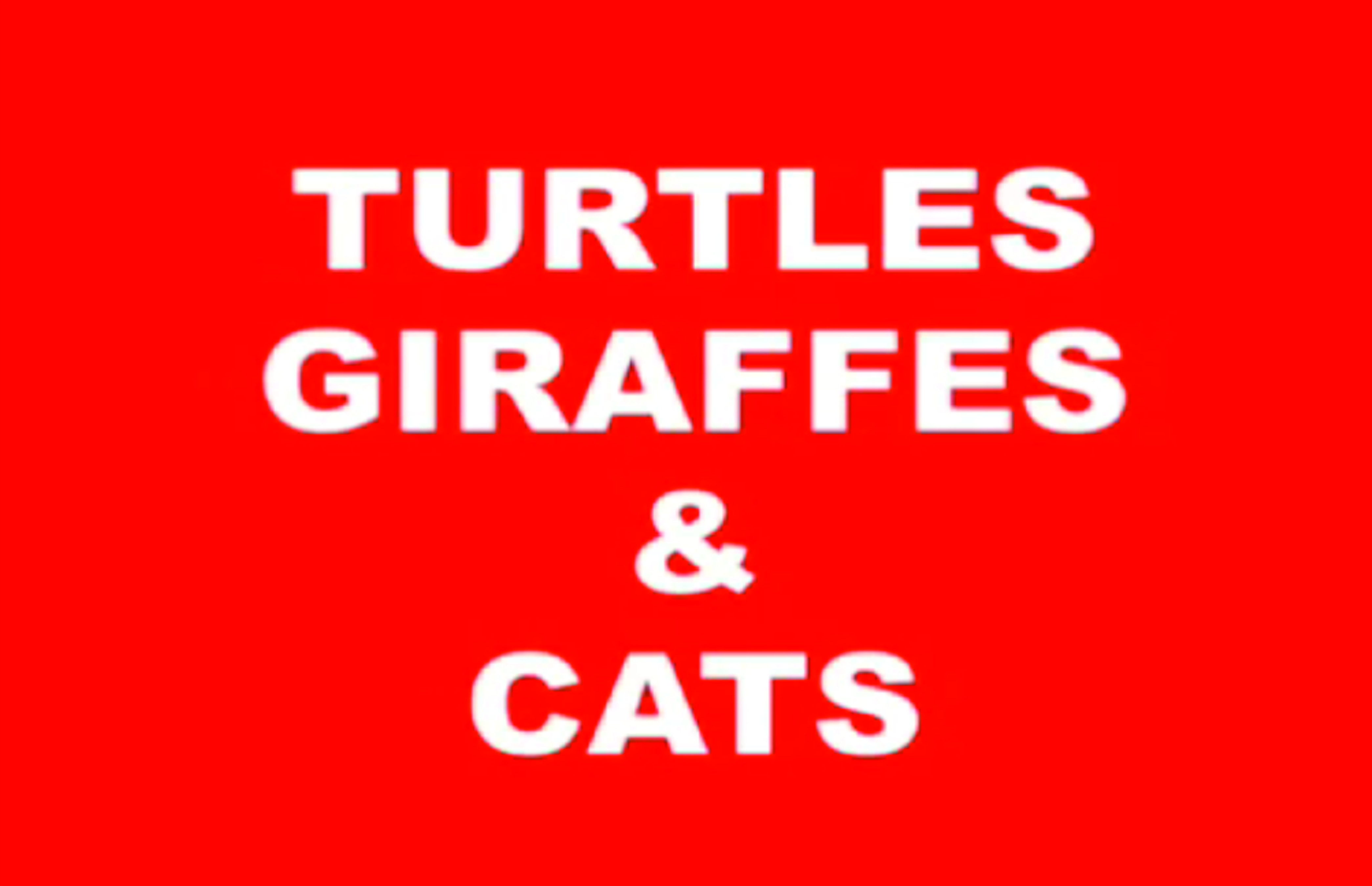 Turtles, Giraffes, and Cats cover