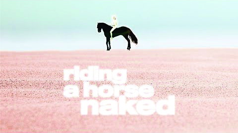 Widdip - Riding a Horse Naked cover