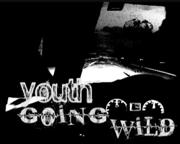 Youth Gone Wild cover