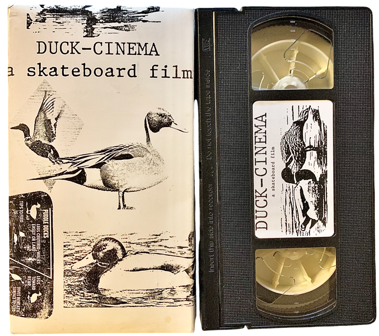 Duck-Cinema feature image